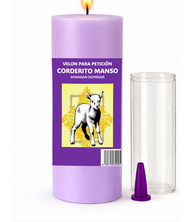 VELON CORDERITO MANSO